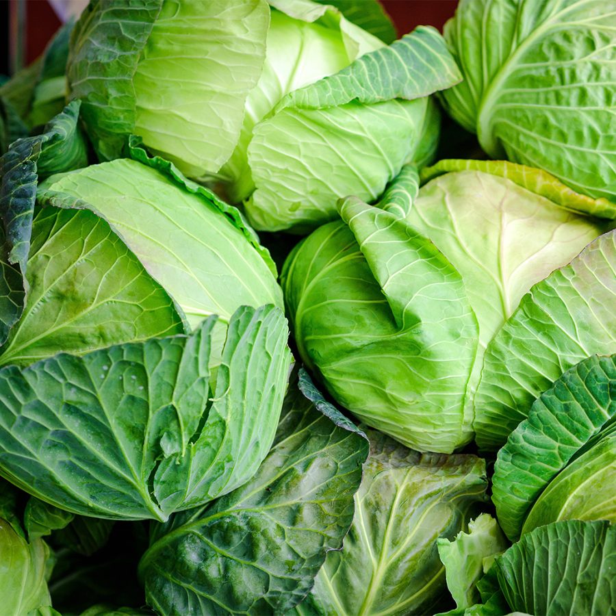 produce_0004_cabbage-background-close-up-macro-fresh-cabbage-from-farm-field (1)