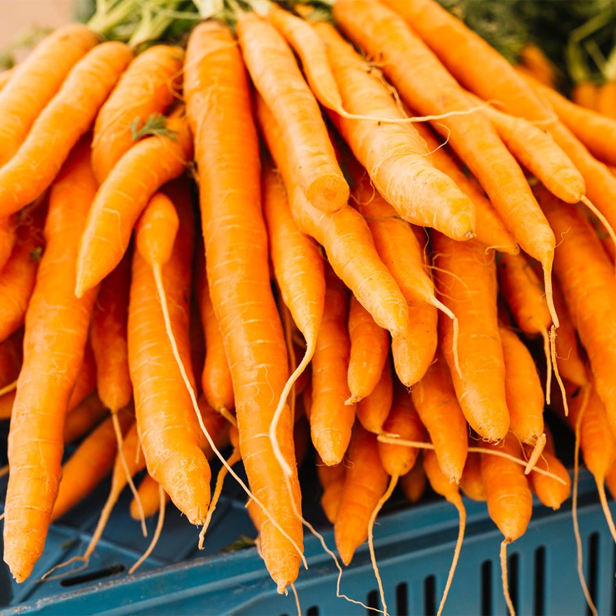 produce_0005_stack-orange-harvested-carrots