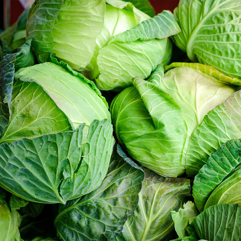 produce_0004_cabbage-background-close-up-macro-fresh-cabbage-from-farm-field (1)
