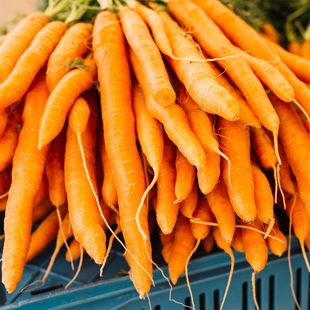 produce_0005_stack-orange-harvested-carrots